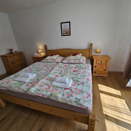 Apartman U Labe Decin Esterno foto